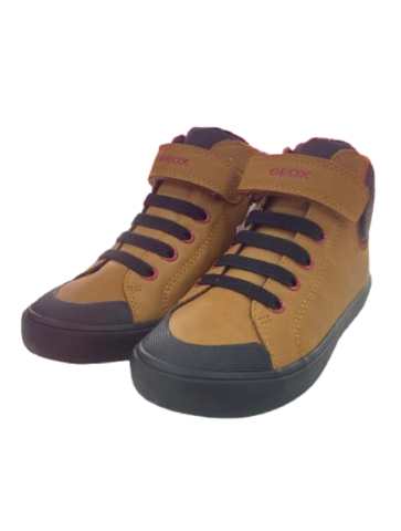 BOTIN CAMEL DE GEOX